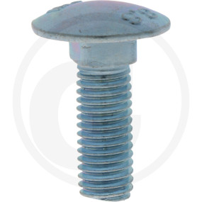 Din 603 8.8 M10X30 V Flachrundschraube Granit 485603 10X030 08V